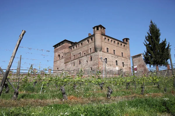 Castelo Vinhedo Piemonte Itália — Fotografia de Stock