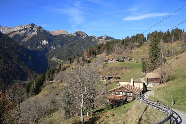 Madeira Serrada Jungfrau Suíça — Fotografia de Stock