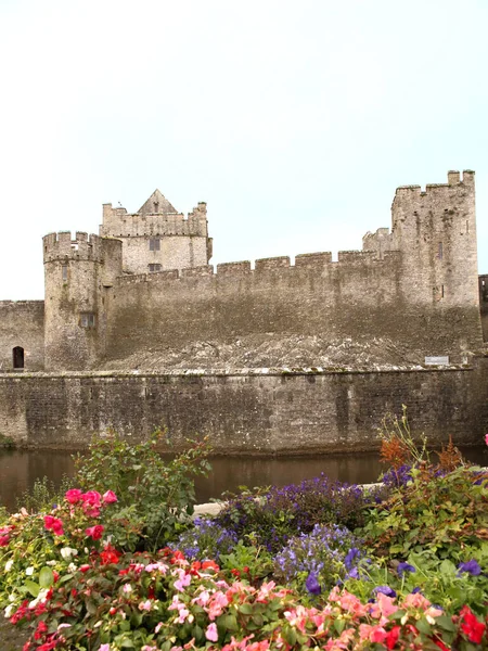 Medieval Abandonada Fortaleza Cahir Com Fosso Circundante Tipperary Irlanda — Fotografia de Stock