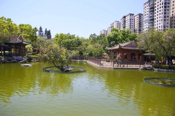 Pavillon Traditionnel Bois Jardin Chinois Dans Parc Gouvernement Laichi Hong — Photo