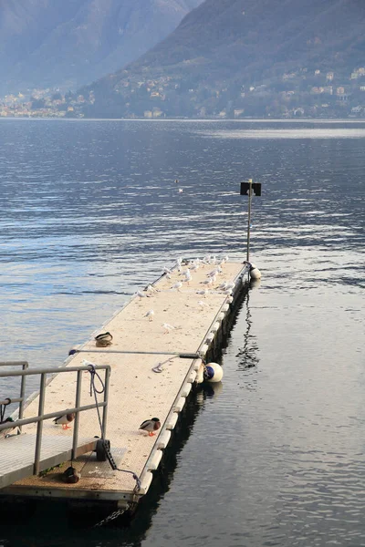 Muelle Cernobbio Lago Como Italia — Foto de Stock