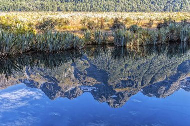 Te Anau Milford Hwy, Fiordland Milli Parkı, Yeni Zelanda'da ayna göl.