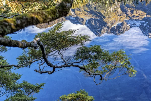 Зеркальные Озера Анау Милфорд Хви Национальный Парк Фьордленд Новая Зеландия — стоковое фото