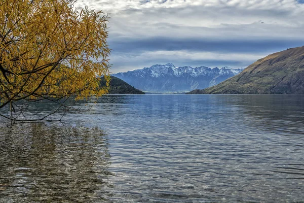 新西兰南岛瓦卡蒂普湖与五颜六色的树木 — 图库照片