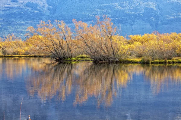 Gyönyörű Őszi Kilátó Glenorchy South Island Zéland — Stock Fotó