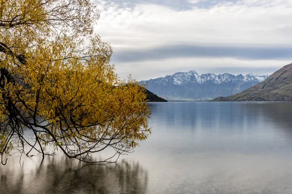 Renkli Ağaçlar Sonbahar South Island Yeni Zelanda Ile Göl Wakatipu — Stok fotoğraf