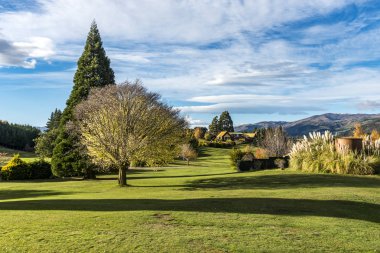 Renkli ağaçlar ve şaşırtıcı dünya sonbahar otlak South Island, Yeni Zelanda.