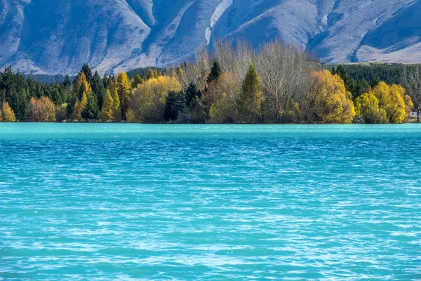 Magnifique Lac Ruataniwha Automne Île Sud Nouvelle Zélande — Photo