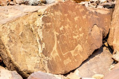 Avcı-toplayıcı ve Twyfelfontein, Namibia Khoikhoi çobanları tarafından tarihi featuring antik kaya kabartmaları.