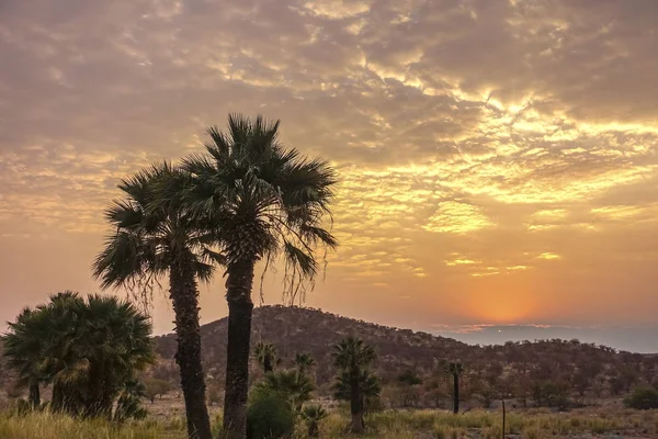 Lever Soleil Loge Khorixas Namibie — Photo