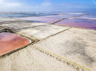 Walvis Bay, Namibya'da under pembe tuz.