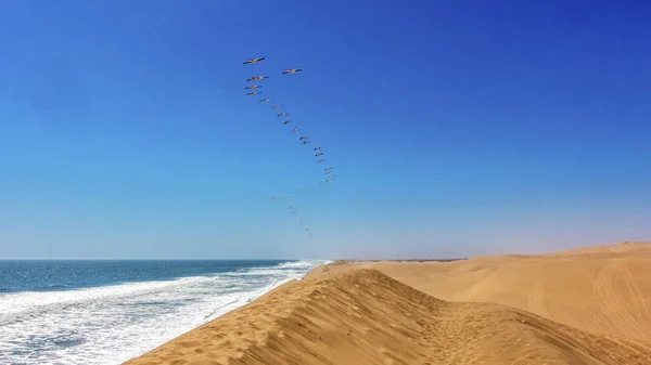 Die Fliegenden Flamingos Der Walvisbucht Namibia — Stockfoto