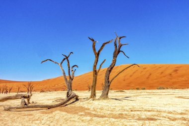 Dunes içinde ölü Vlei, Sossusvlei, Namibya ile solmuş ağaç.