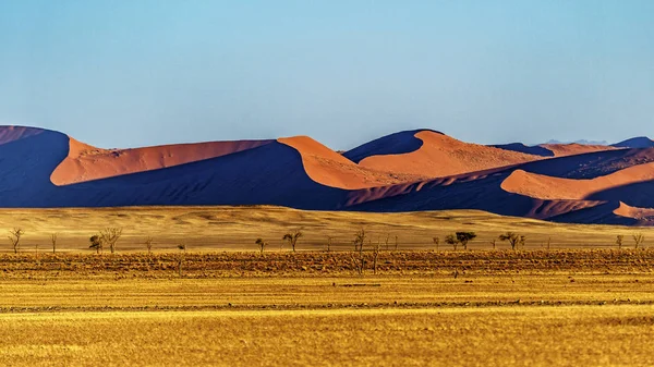 Duinen Sossusvlei Namibië — Stockfoto