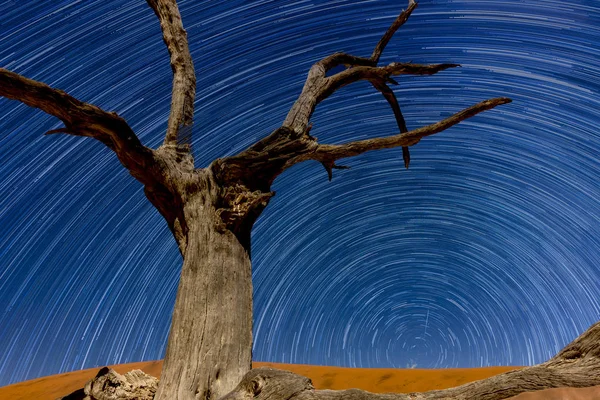 Árbol Marchito Con Senderos Estrellas Dead Vlei Sossusvlei Namibia — Foto de Stock