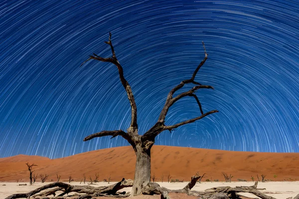 Засохшее Дерево Звёздными Тропами Мертвом Влае Соссусвлей Намибия — стоковое фото