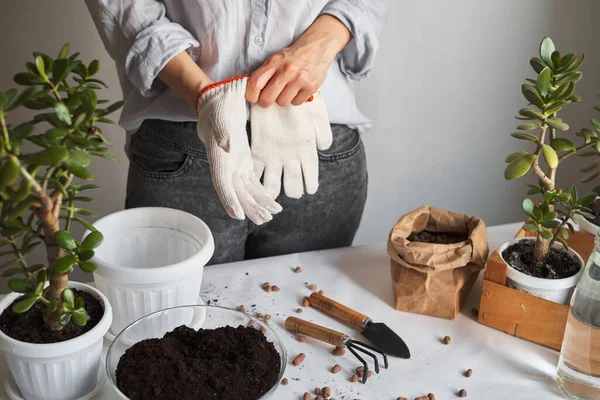 Garota Jardineiro Plantando Flores Planta Transplantes Cultivo Vaso Flores Vegetação — Fotografia de Stock