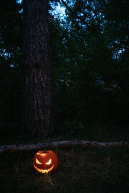 Helluin kabak karanlık bir orman içinde bir fener ile