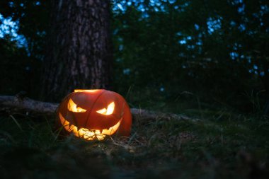 Helluin kabak karanlık bir orman içinde bir fener ile