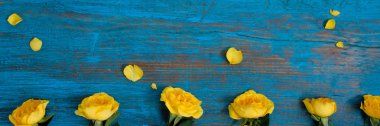 Çiçek kompozisyon. Mavi bir ahşap zemin üzerine sarı çiçek çerçeve yaptı. Paskalya, bahar, yaz konsepti. Düz yatıyordu, top vie