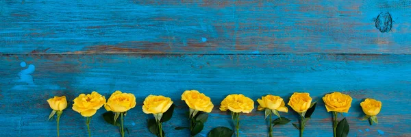 Ram Gula Blommor Blå Trä Bakgrund Påsk Vårblommor — Stockfoto