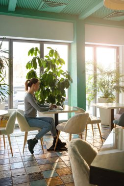 Bilgisayar taze çiçekler ile bir kafede kız çalışıyor