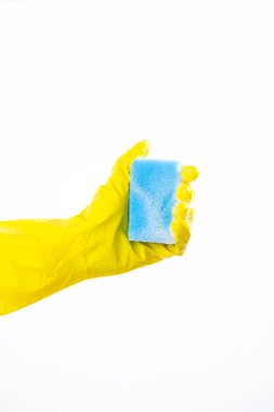 Beyaz bir arka plan üzerine bir sünger dışarı el sıkar