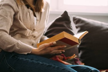 Kız evde kanepede kitap okuma