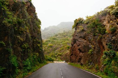 Yeşil ormanlarla çevrili dolambaçlı dağ yolu.