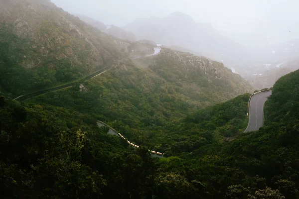 Estrada Montanha Sinuosa Cercada Por Floresta Verde — Fotografia de Stock