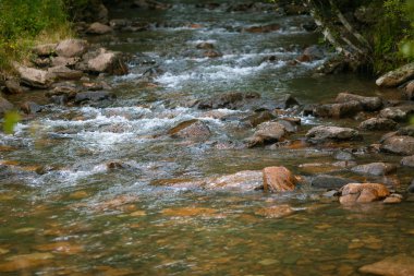 Dağ nehri kayalık bir yüzeyden akar..