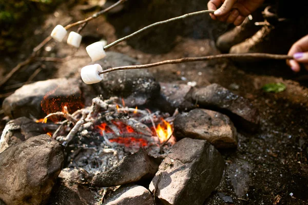 Girl Sits Fire Woods Drinking Tea Roasting Marshmallows — Stock Photo, Image