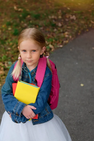 Porträtt Liten Flicka Som Går Skolan — Stockfoto