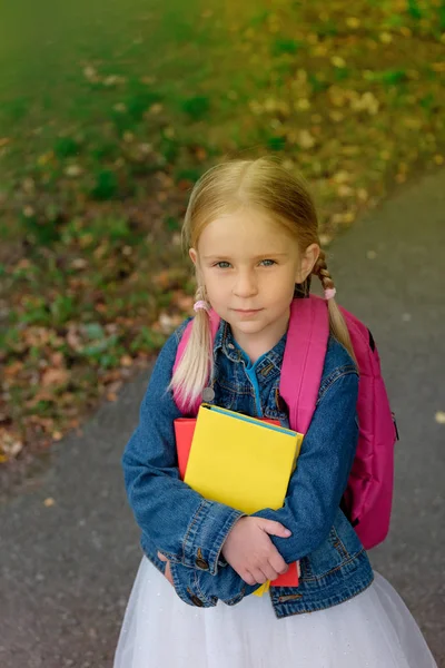 Portret Małej Dziewczynki Idzie Szkoły — Zdjęcie stockowe