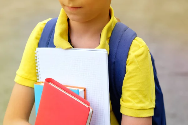 Boeken Notebooks Handen Van Een Kind — Stockfoto