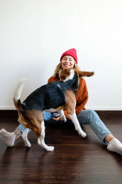Chica Suéter Casa Juega Con Perro — Foto de Stock