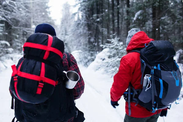 冬季森林中的徒步旅行者在山上旅行 — 图库照片