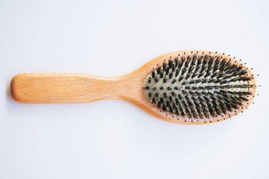 Yaban domuzu tüyü fırçası. tara