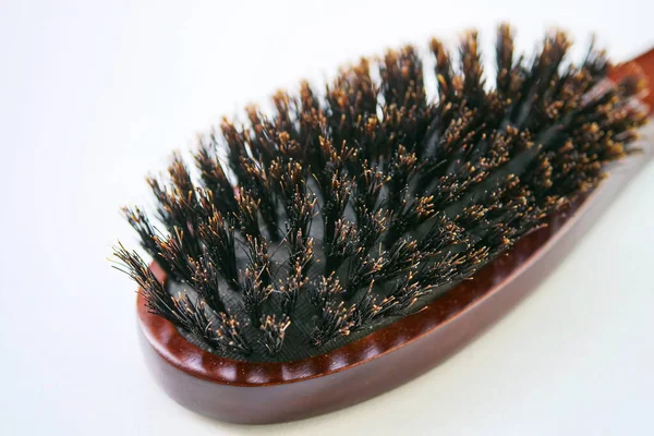 Yaban domuzu tüyü fırçası. tara
