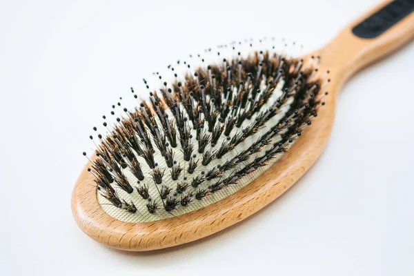 Vildsvin Hår Bristle Brush Kammar Stockbild