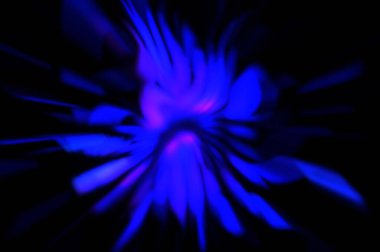 Işık parçacık izleri. Parlayan parçacıkları ve çizgileri olan ışık patlaması yıldızı. Güzel hareketli soyut ışın arkaplanı.