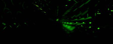 Işık parçacık izleri. Parlayan parçacıkları ve çizgileri olan ışık patlaması yıldızı. Güzel hareketli soyut ışın arkaplanı.