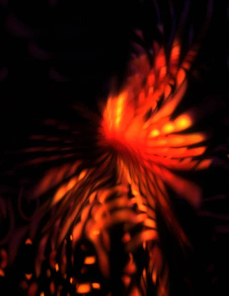 Huellas Partículas Ligeras Estrella Explosión Luz Con Partículas Líneas Brillantes — Foto de Stock