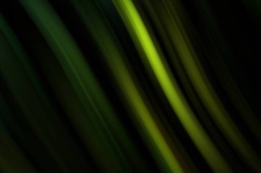 Siyah arka planda renkli düz çizgiler. Sıvı ve sıvı renkli dalgalar karanlıkta akıyor. Duvar kağıdı, afiş, arkaplan, kart, kitap, kapak, poster, afiş, broşür