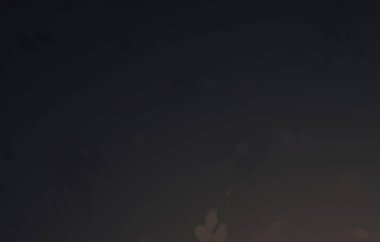 Kaotik resim. Taranmış Boyalı Soyut Arkaplan. Fırça darbesi ile boyanmış. Sanatsal canlılık ve renkli duvar kağıdı.