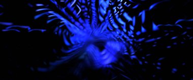 Işık parçacık izleri. Parlayan parçacıkları ve çizgileri olan ışık patlaması yıldızı. Güzel hareketli soyut ışın arkaplanı.