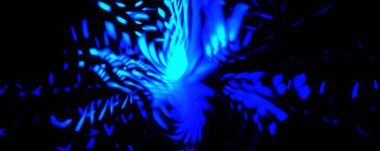 Işık parçacık izleri. Parlayan parçacıkları ve çizgileri olan ışık patlaması yıldızı. Güzel hareketli soyut ışın arkaplanı.