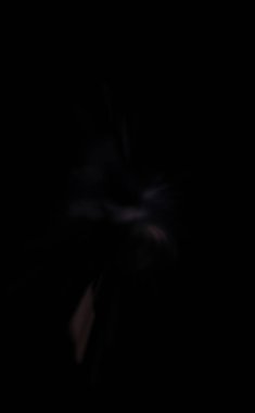 Işık parçacık izleri. Parlayan parçacıkları ve çizgileri olan ışık patlaması yıldızı. Güzel hareketli soyut ışın arkaplanı.