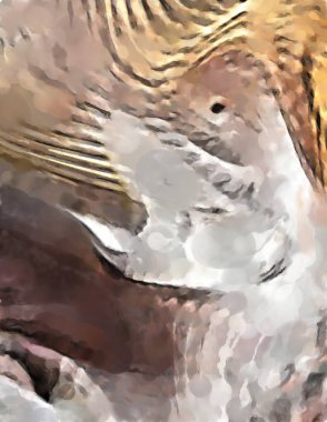 Modern sanat. Renkli çağdaş sanat eserleri. Renkli boya darbeleri. Soyut arkaplanda fırça darbeleri. fırça boyası.