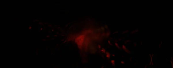 Pistes Particules Légères Étoile Explosion Lumineuse Avec Des Particules Des — Photo